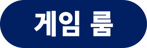 게임 룸