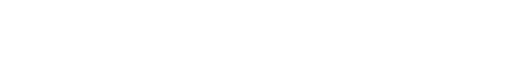 角度、位置（上下）、位置（左右）、大きさ 位置反転（左右）、濃さ